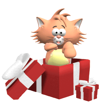 cat and box
