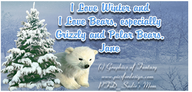 Love Winter and Bears - Jane