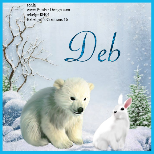 Deb -Winter fb profile pic 2