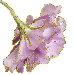 purple flower