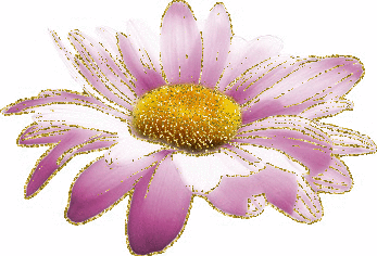purple flower