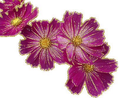 4 purple flower
