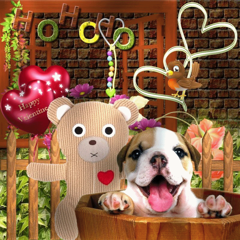 Happy Valentine's Day