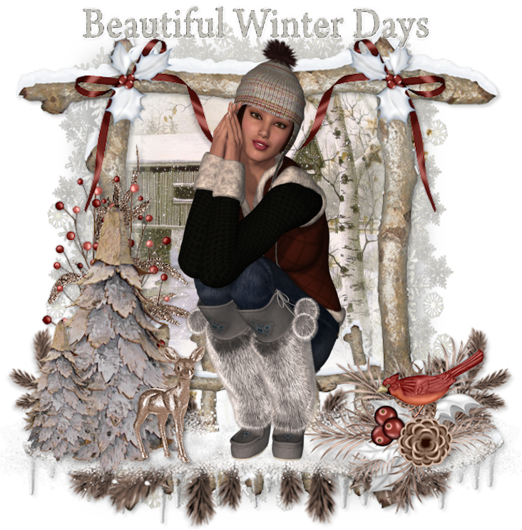 Beautiful Winter Days