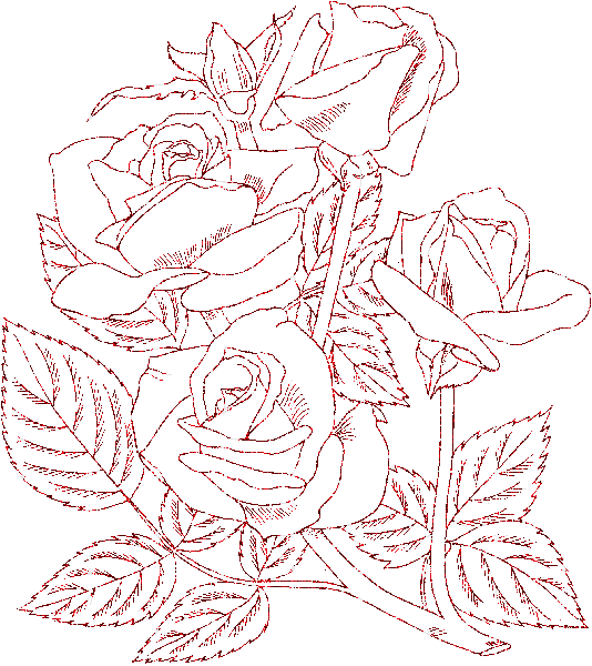 rose