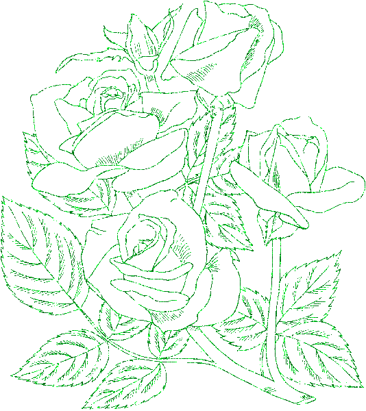 rose