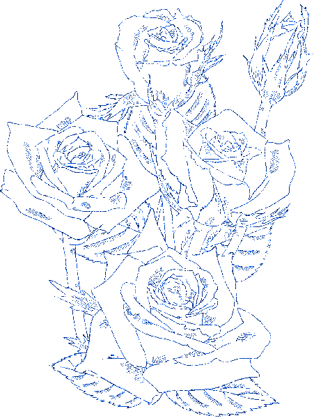 rose