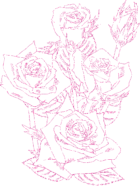 rose
