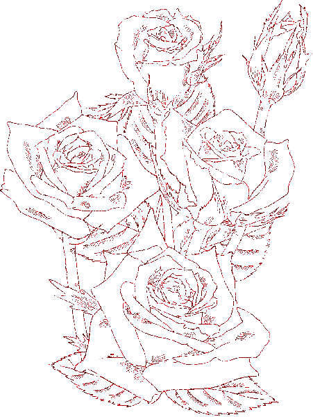 rose