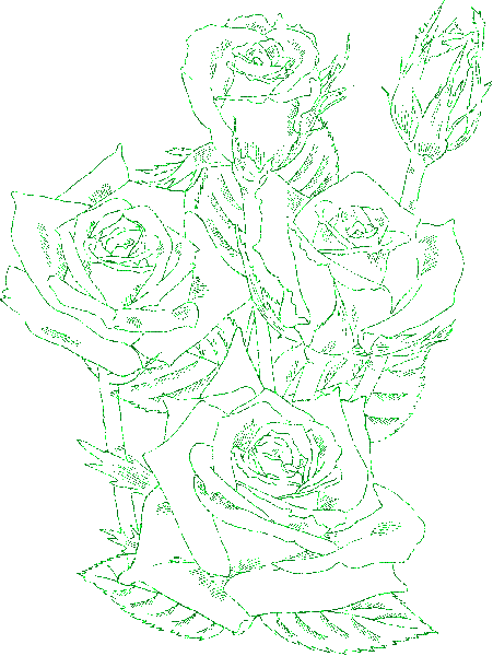 rose