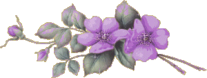 purple flower