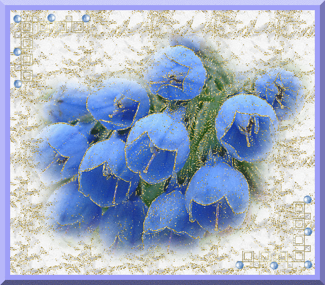 blue flowers