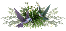 hummingbirds
