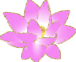 purple flower
