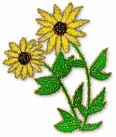yellow flowers
