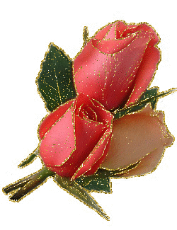 rosas
