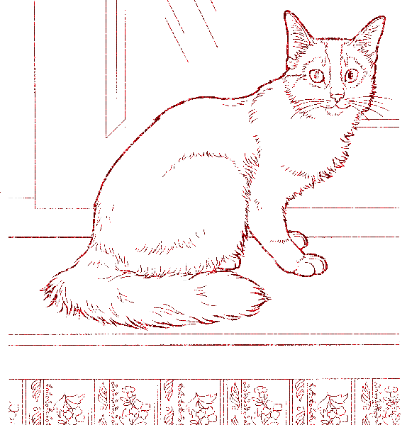 cat