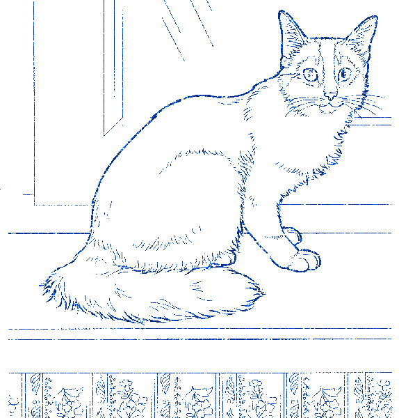 cat