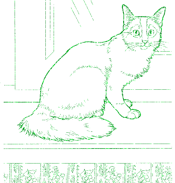 cat