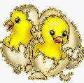 2 chicks