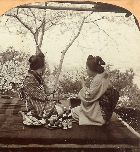 1800s Vintage Geisha