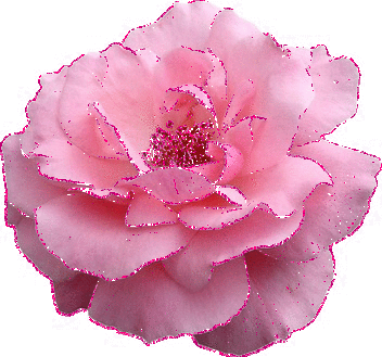 pink flower