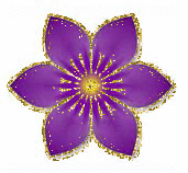 purple flower
