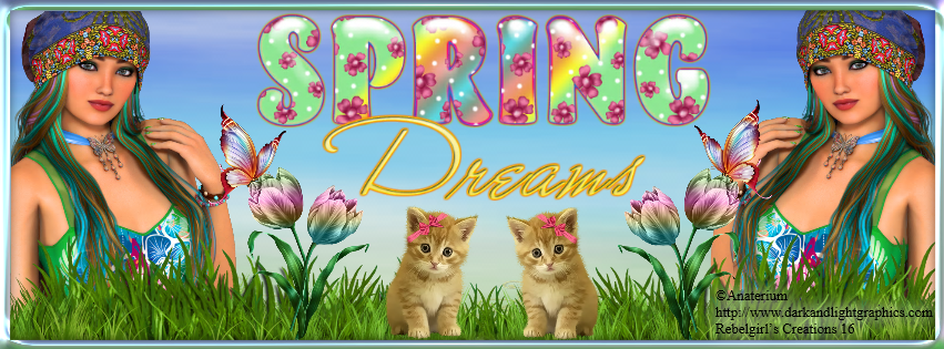 Anna -Spring Dreams fb cover