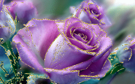 purple rosas