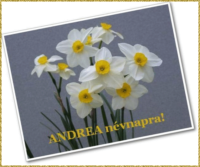 Andrea
