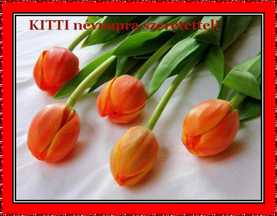 Kitti