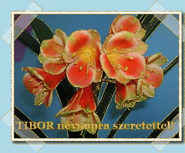 Tibor