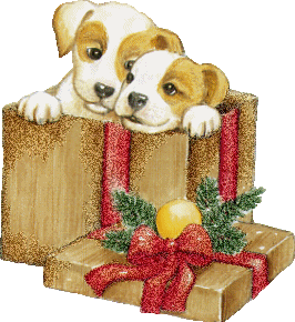 puppy