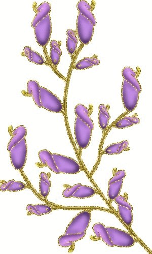 purple flowers