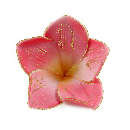 plumeria