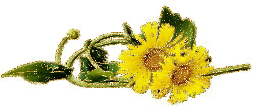 2 yellow flower