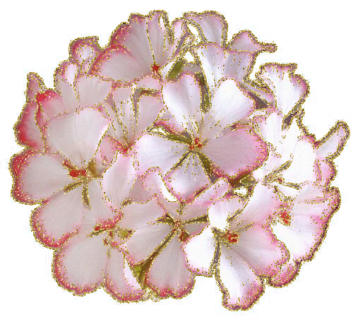 white bouquet