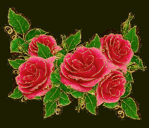 beautiful rosas
