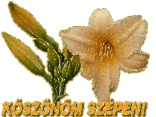 kÃ¶szÃ¶nÃ¶m szÃ©pen