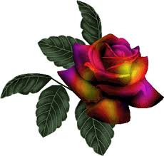 multicolor rosa