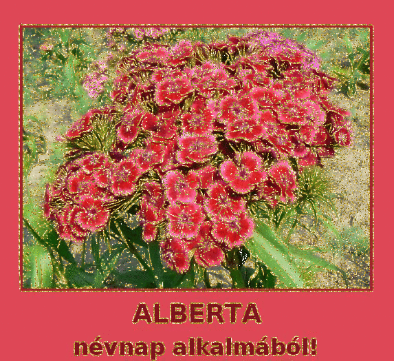 Alberta nameday