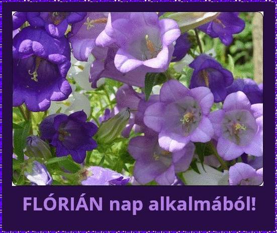 FlÃ³riÃ¡n nameday
