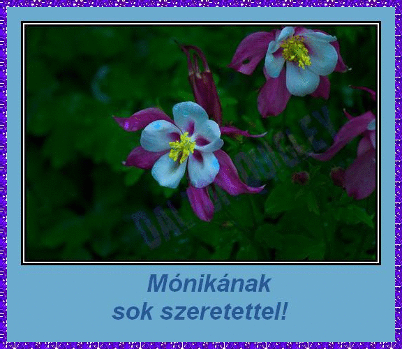 MÃ³nika nameday