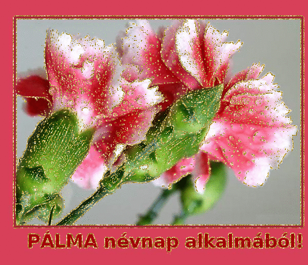 PÃ¡lma nameday