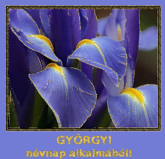 GyÃ¶rgyi nameday