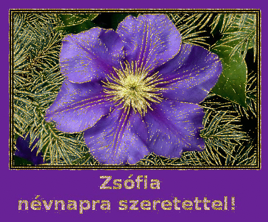 ZsÃ³fia nameday