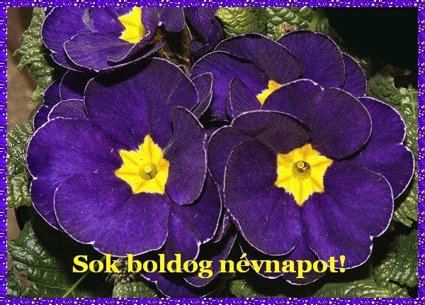 nameday