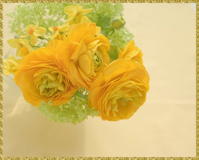 yellow peonias