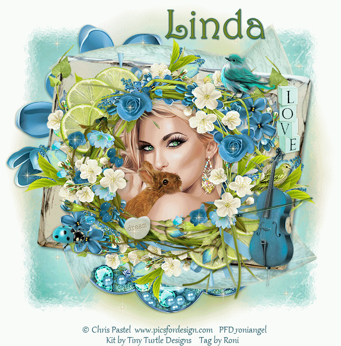 Dream Of Spring - Linda