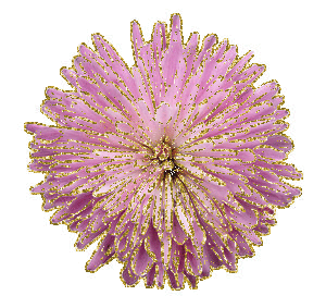 dahlia